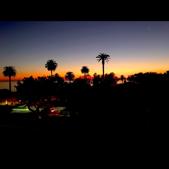 Meet your Posher, Posh - Picture 3 of 3